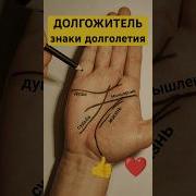 Записки На Ладонях
