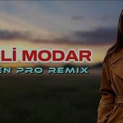 Elsen Pro Misli Modar