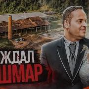 Тру Крайм Истории