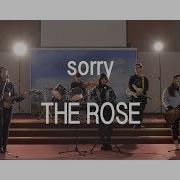 The Rose Sorry Cover