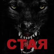 Песня Из Сериала Стая 2022