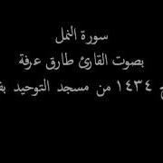 طارق يوسف عرفة