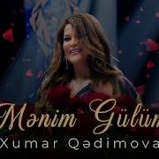 Xumar Qədimova Mənim Gülüm Yeni Klip 2025
