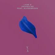 Lane 8 Grapevine Feat Elderbrook