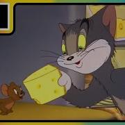 Cartoon Network India Tom