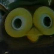 Hoots Tv