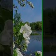 И Старость Не Заметно К Нам Стучит