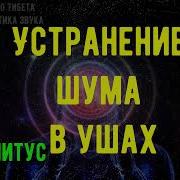 Матрица Гаряева Шум В Ушах