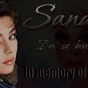 Sandra I M So Beautiful In Memory Of Divine Hadab Cats