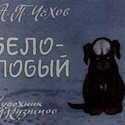Чехов Белолобый