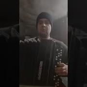 Кавер Баба На Баяне