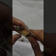 Chocolate Remix Song
