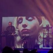 Camouflage Thief Live 2024
