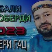 Ghebali 2023 Помери Гац