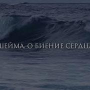 Поэма Шейма