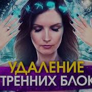 Елизавета Волкова Вибрации