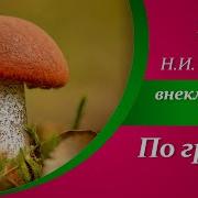 Николай Сладков Рассказы О Природе Для Детей