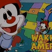 Wakko S America