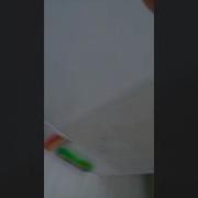 중딩보지