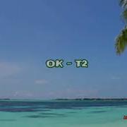 T2 Oke