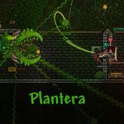 Terraria Plantera Boss 5 Guitar Cover