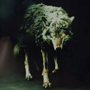 Wolf In Sheep S Clothing Speed Up