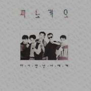 피노키오 슬픈 변명 가사