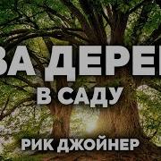 Два Дерева В Саду