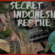Hot Indonesia
