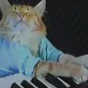 Keyboard Cat