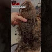 Не Расчесывала Волосы