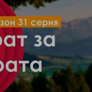 Брат За Брата 3 31