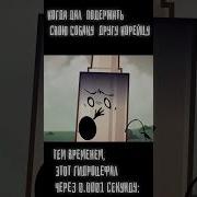 Хахаха Они Сдохли