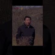 习近平读书