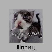 Плейлист Про Зависимости