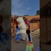 Поздравление От Животных