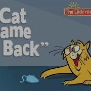 Cat Song