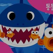 상어가족