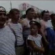 Голубые Береты Полосатая Натура