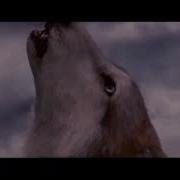 Я Не Чувствую Тепла Playlist For Ghouls