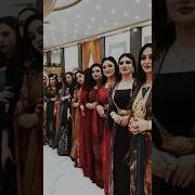 Dabkat