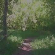 Тропинка Узенькая Вьется