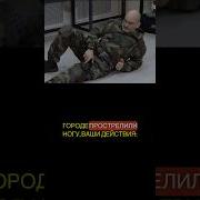 Добровольные Воиска