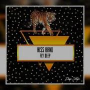 Fly Deep Hiss Band