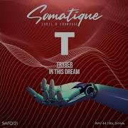 Tryger In This Dream Original Mix
