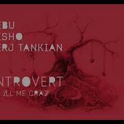 Sebu Misho Serj Tankian Introvert Call Me Crazy
