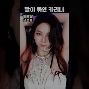 쵸단 딥페