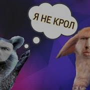 Кролик Буцефал