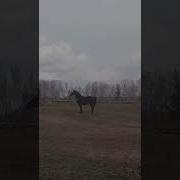 Громов Не Разжимая Рук