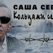 Саша Север Сетка Кольцами
